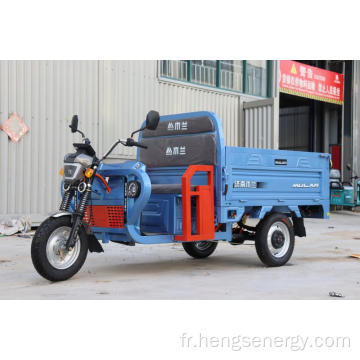 Tricycle de cargaison de cargaison de scooter électrique pour adultes
